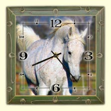 wall clocks, horse photo